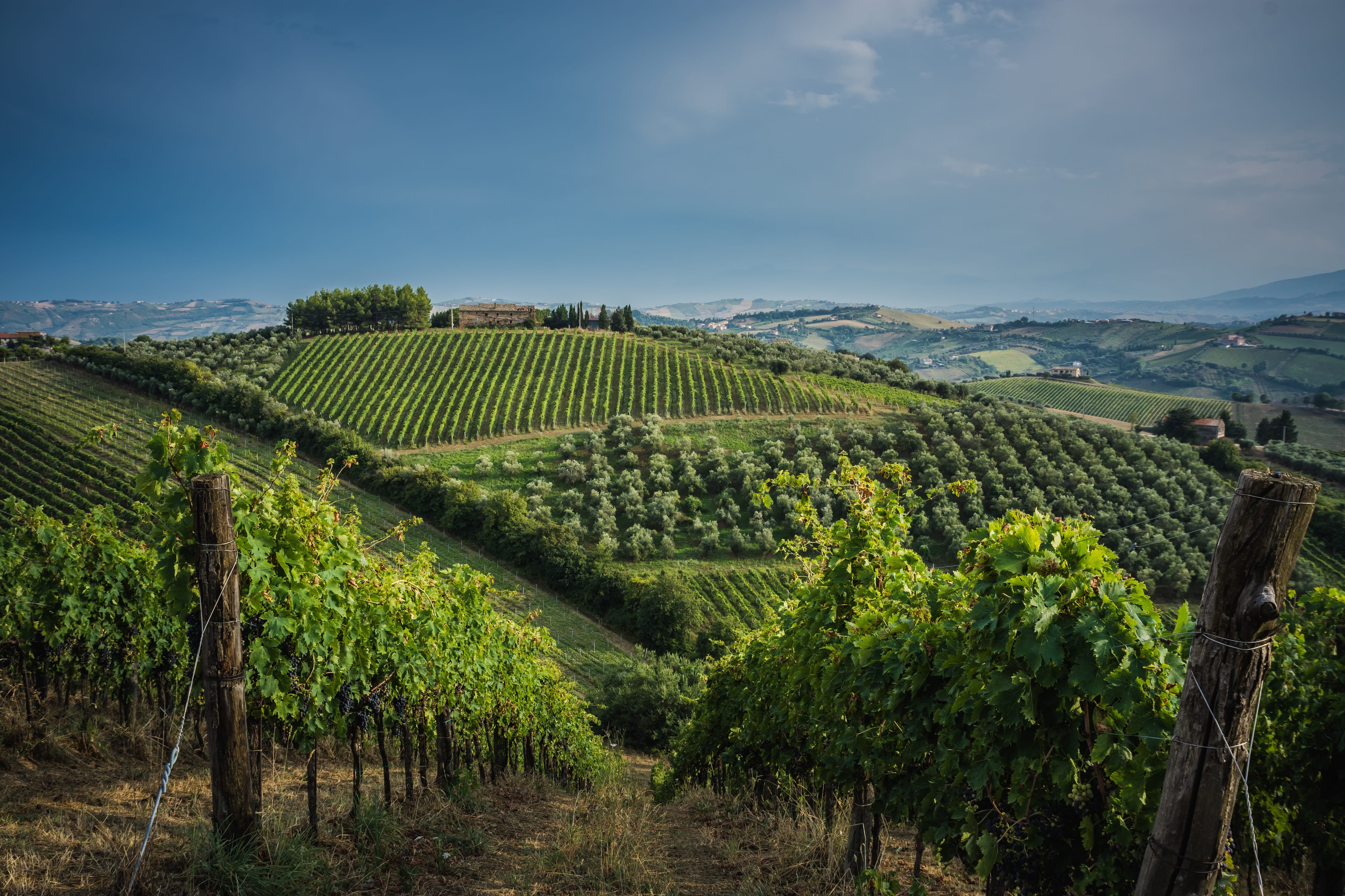 The Marche Region